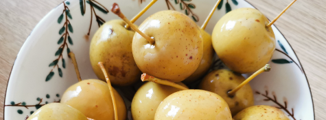 Z6·尊龙凯时「中国区」官方网站