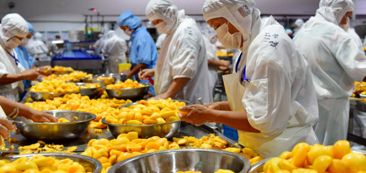 Z6·尊龙凯时「中国区」官方网站