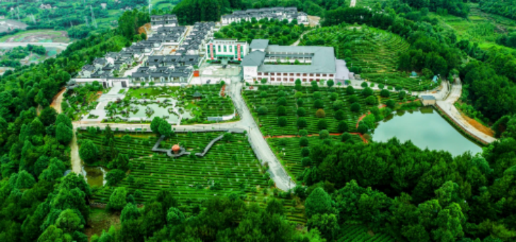 Z6·尊龙凯时「中国区」官方网站