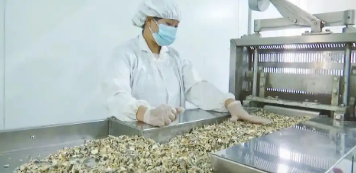 Z6·尊龙凯时「中国区」官方网站