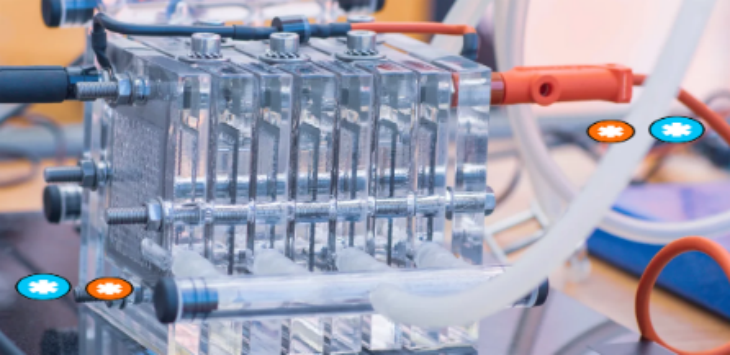 Z6·尊龙凯时「中国区」官方网站