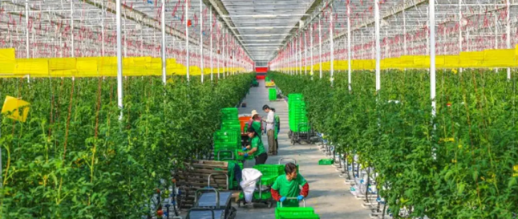 Z6·尊龙凯时「中国区」官方网站