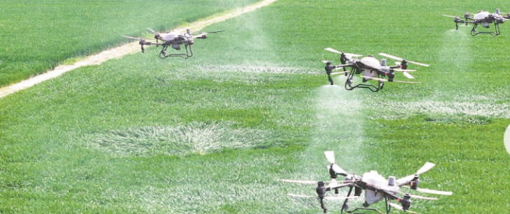 Z6·尊龙凯时「中国区」官方网站