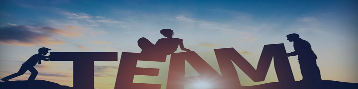 Z6尊龙凯时咨询团队